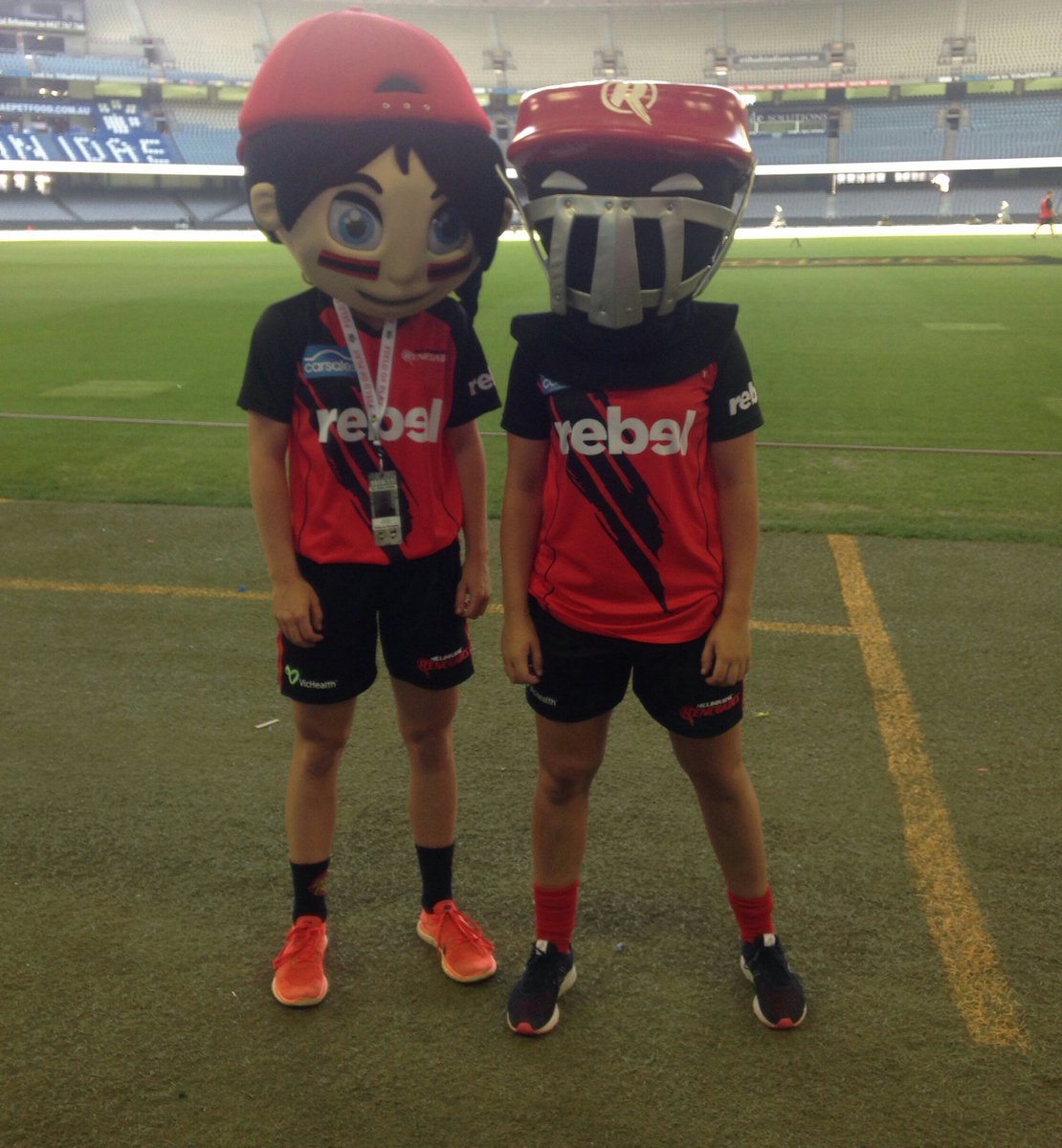 Renegades WBBL tweet media