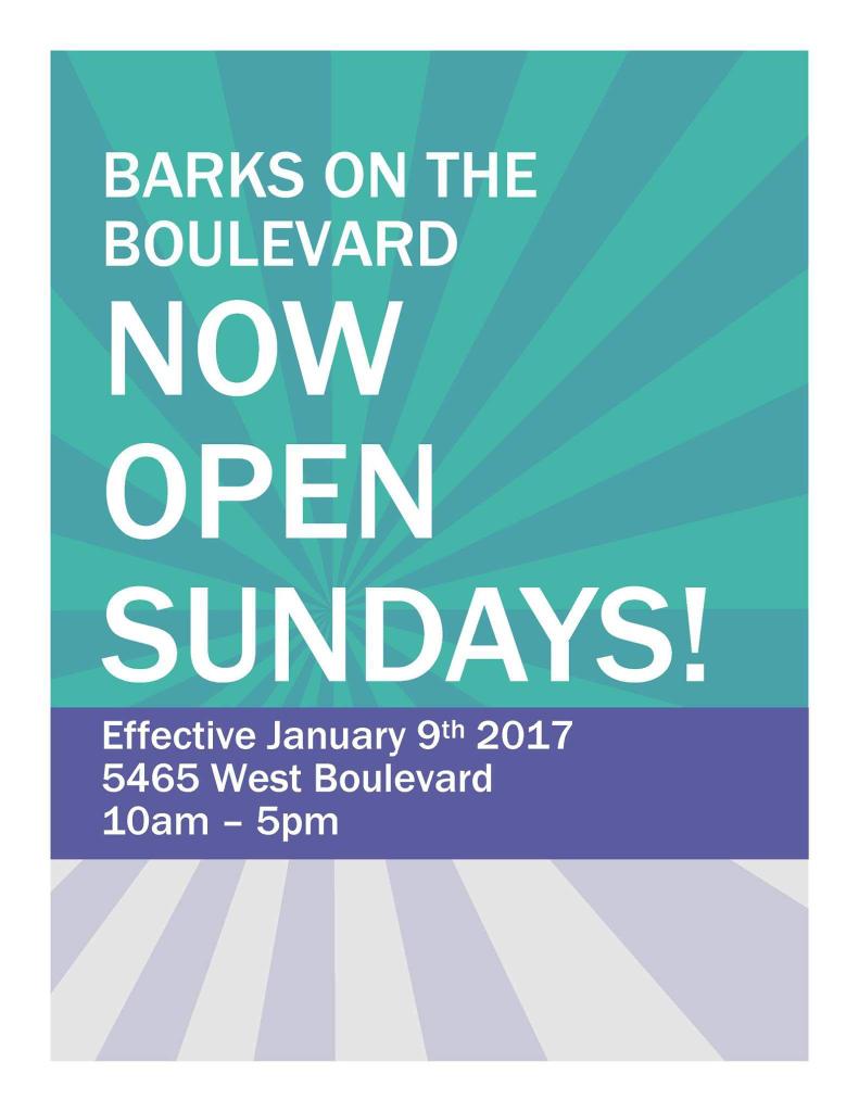 Big plans this weekend? You're in luck.
#vancouver #dogsofvancouver #kerrisdale #dogdaycare #dogsoftwitter