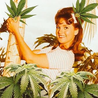 NurseMaryJInk's tweet photo. #FF @Hippie_of_Love https://t.co/tc1dHwBAlF
