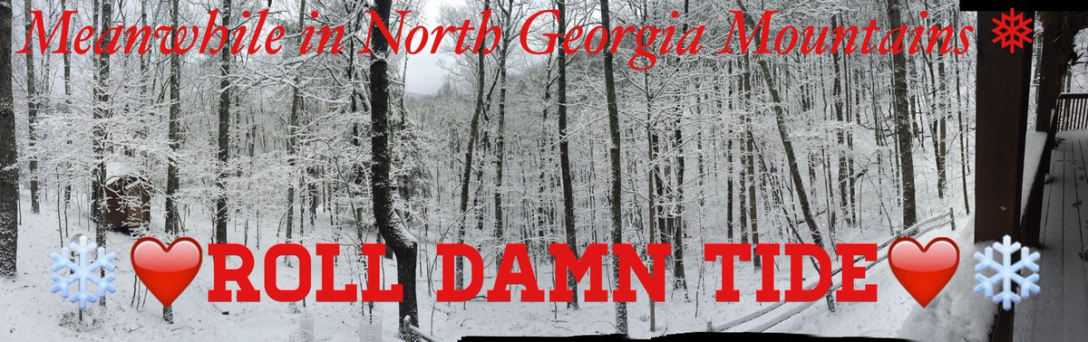 lnewsomern's tweet photo. #StormWatchOn2 #snowapocalypse2017 @NewsomeTD @johnP_hayes @PerkinsPhyllis https://t.co/sVwUUKyUkm