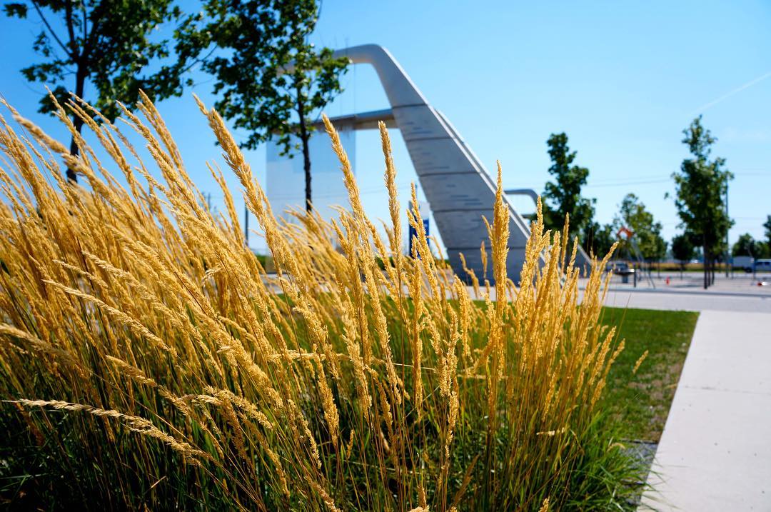 landscapevoice's tweet photo. Sherbourne Common: Canada's first park with neighborhood-wide #stormwater mgmt #landarch #urbandesign #placemaking https://t.co/y0Wy1D5lc6 https://t.co/RYHXgXNeC0