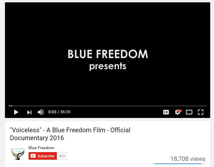 jeffrey_ventre's tweet image. 4those asking how SW disposes of  "family members" including #Blackfish, it's here in #Voiceless v @BlueFreedomOrg youtu.be/CWg3wA1FloI