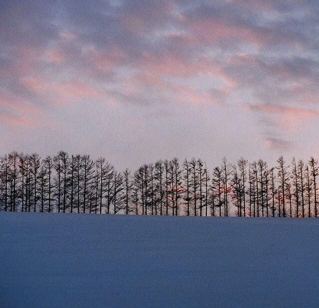 vly_vly(KOREA)❣ (@minja3644) on Twitter photo 