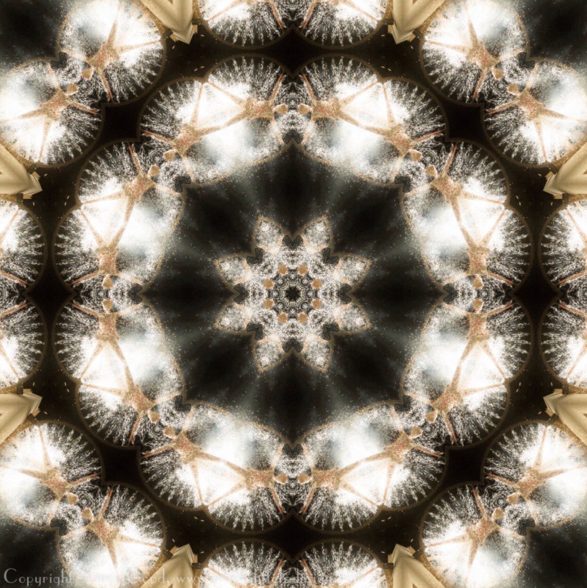 Nancy Good Fine Art tweet media