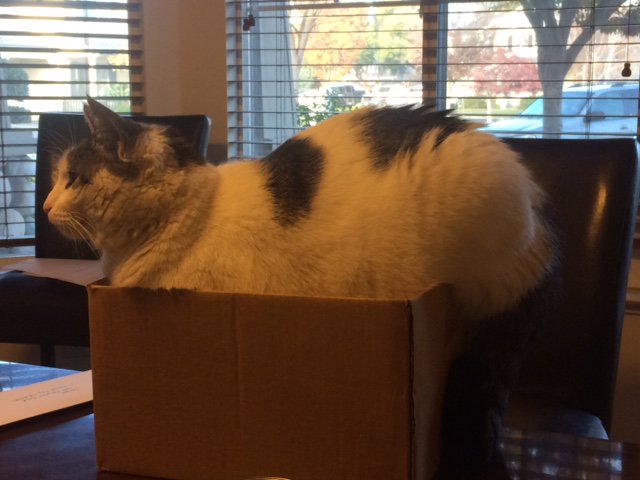 MathewVanAllen1's tweet photo. That box seems a little small. https://t.co/xR72x05lZZ