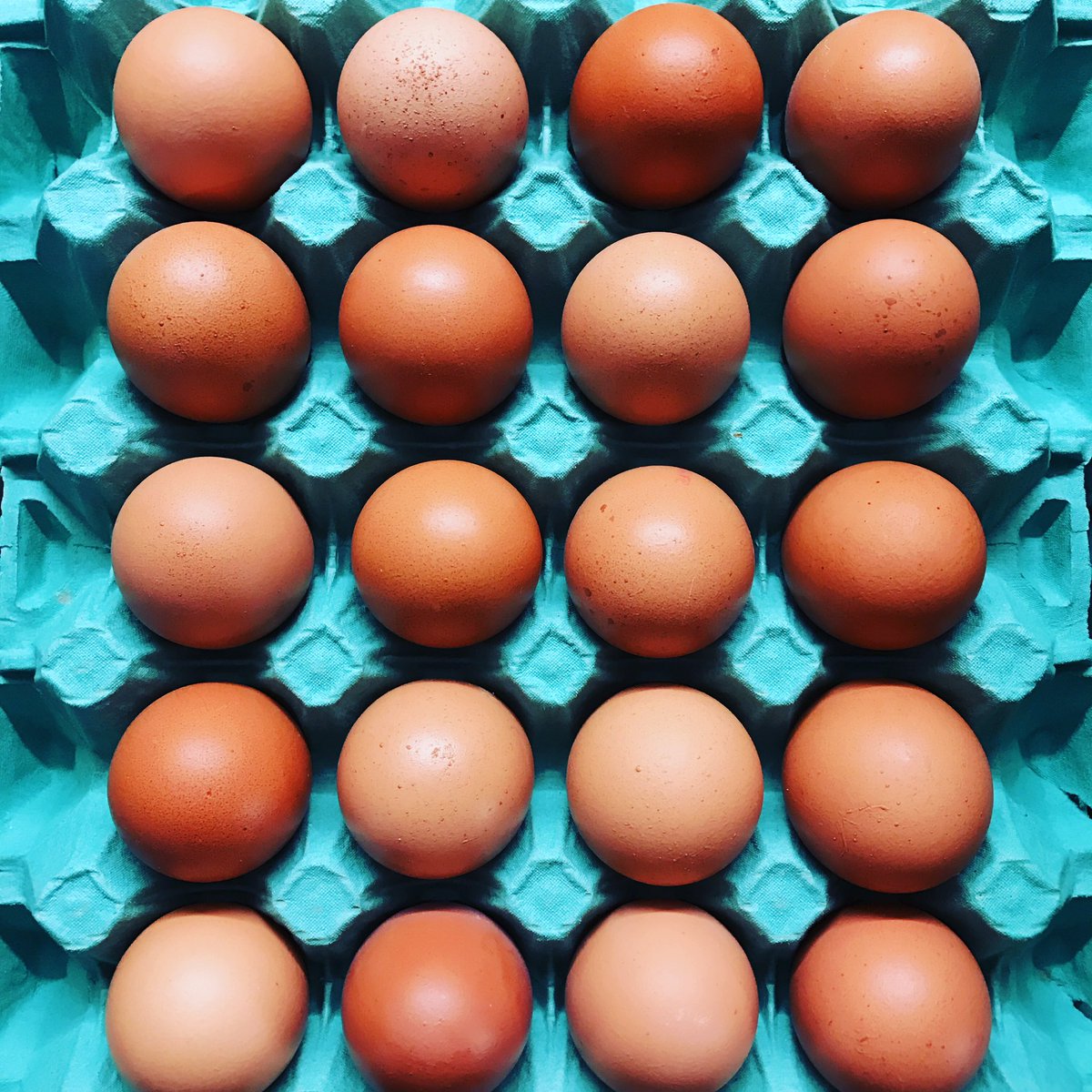 The mighty tray of XL eggs... still just £3 for 20! #diet #cleaneating #protein #cantbeatanegg