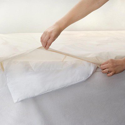 Want To Get Rid Of #BedBugs? Don’t Believe On Some Common Misconceptions. bit.ly/2i3oMPZ #Niagara #PestControl #Pest