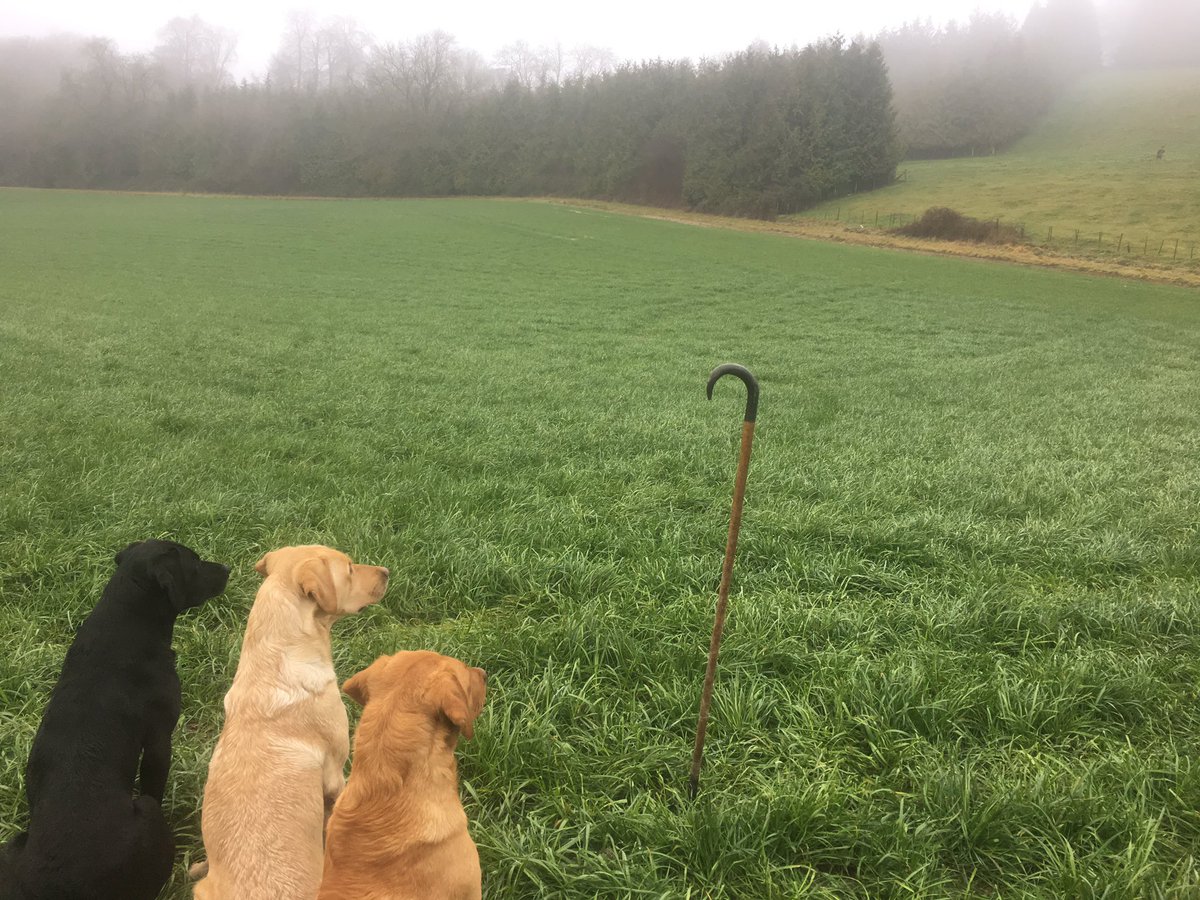 DCRJ SERVICES (@dcrjservices1) on Twitter photo 