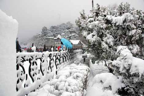 yespunjab's tweet photo. #Shimla, #Manali cut off after #snowfall, traffic hampered
https://t.co/GcQt5tJ7cP https://t.co/b0IvF50WIk
