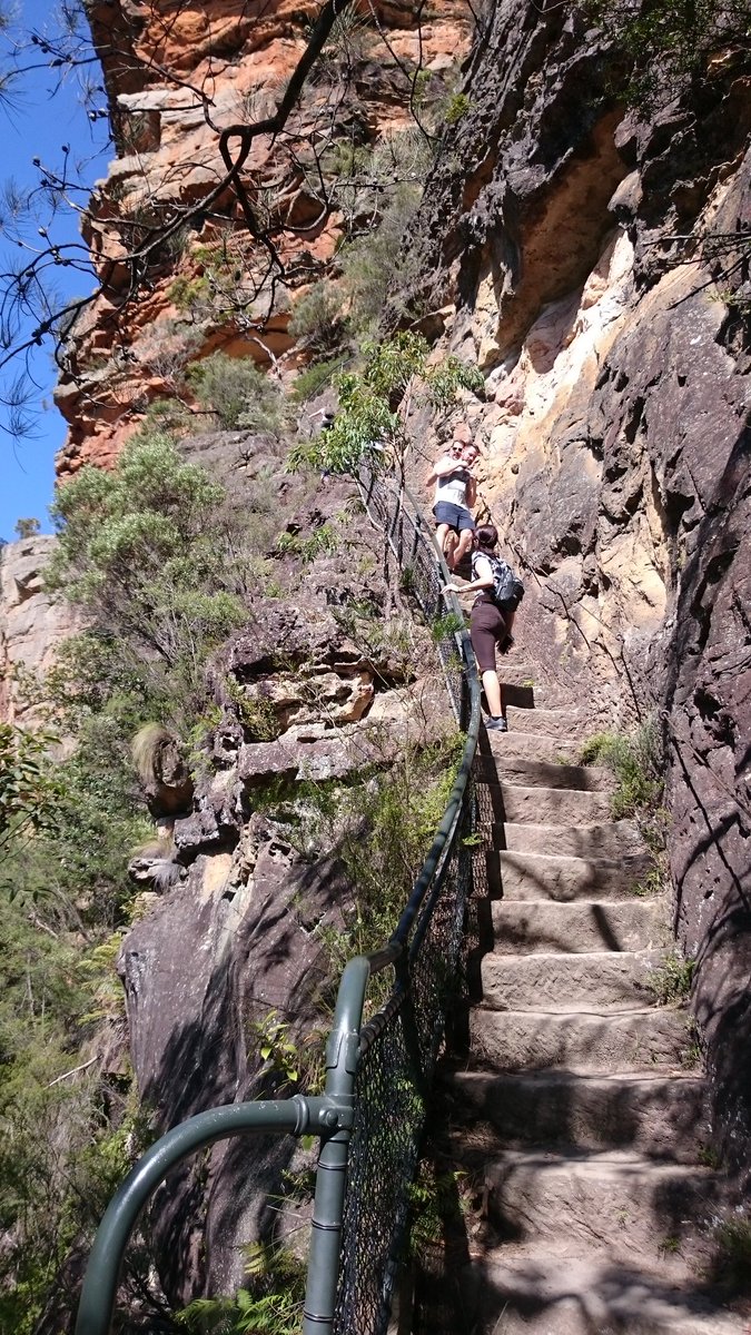 riddle_methis's tweet photo. Was inspired by @sleclair09 @krlstenmckenzie decided to go for a lunchtime hike at #Bluemountains #NSW #Grandsteps #Wentworthfalls👌😀 https://t.co/Lkz4oUzWXm
