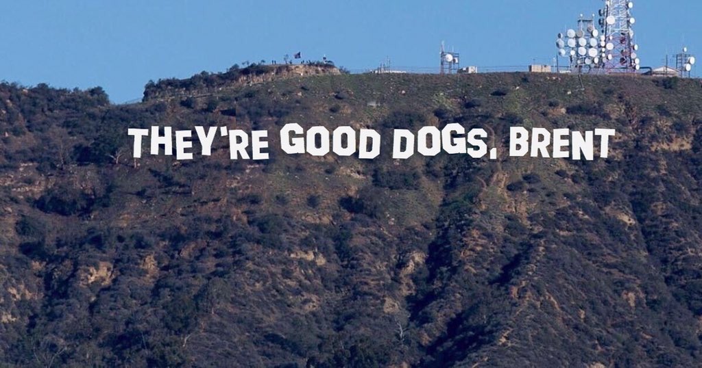 dog_rates's tweet photo. Seriously stop changing the Hollywood sign. It's fine how it is https://t.co/m2jzp5J8yo