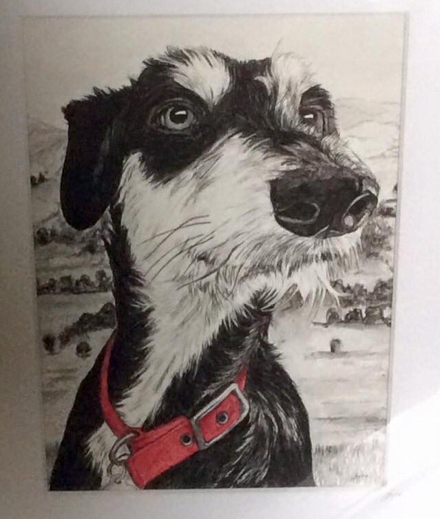 The ‘Cherrydidi Online Gift Shop’ tweet media