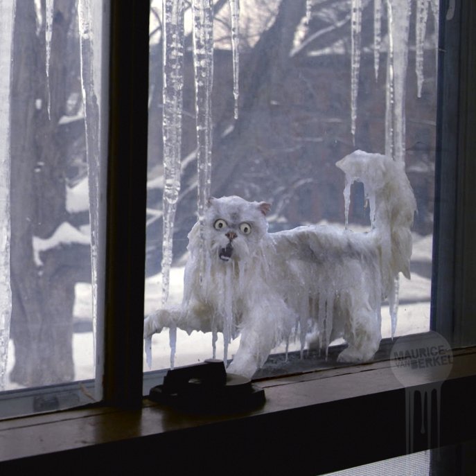 Mvan_berkel's tweet image. Schat...
Je bent gisteravond vergeten Lotje naar binnen te laten.
#codeoranje