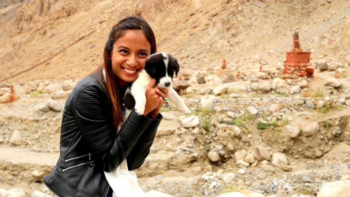 IMW_Discovery's tweet photo. Paloma's love for dogs gets to another level when she meets the pets at the Animal Pet Shelter in Skara. #IndiaMyWay Sun 8pm @DiscoveryIN. https://t.co/kiQ5n3YZsj