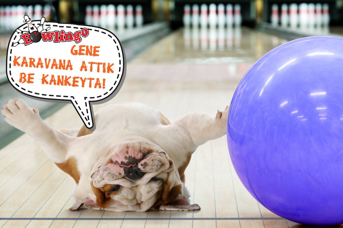 Playpark_Fun's tweet image. Hayaller Strike Gerçekler Karavana 😂
#Bowling #BirlikteveMutlu #Eğlenceyiyuvarla #Strike #Karavana #Fun #HayallervsGerçekler