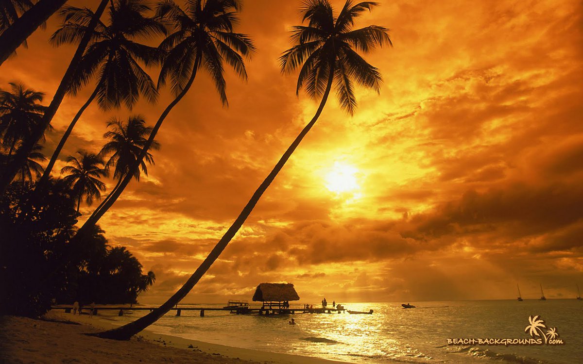 Tropical Sunset