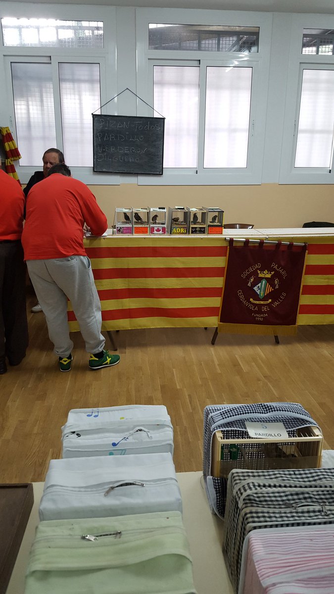 markeleee's tweet photo. 1ra de pinzan en la Sociedad Ocellaire de Cerdanyola https://t.co/KlO1HGwLMy
