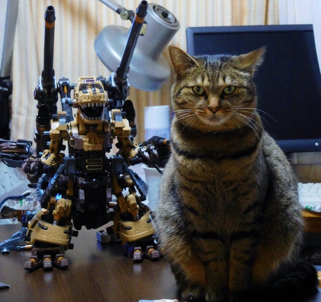 こてつ 未だにgtoのデカさに購入をためらってる方へ 机の上で猫が鎮座する程度の大きさなので 安心して買いましょう ゴジュラス ジ オーガ T Co Ss2bpml1b3 Twitter