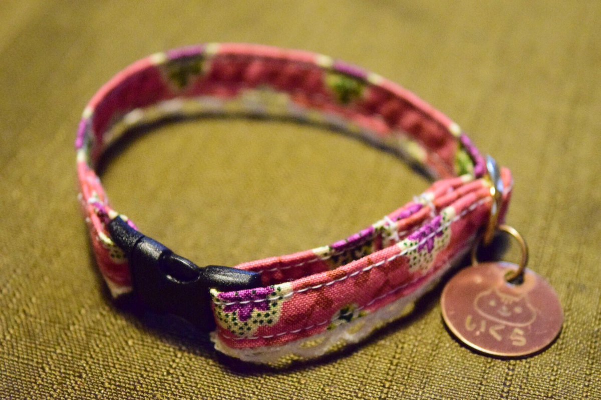 ハンドメイド 犬 猫 首輪 さっそく着用した画像を 送ってもらいました 毛づくろいが好きな猫ちゃんや 嫌がらないか不安な方は ノーマルタイプがオススメですよ ねこ 猫 ねこ部 キジトラ 首輪 ハンドメイド ハンドメイドアクセサリー オーダー