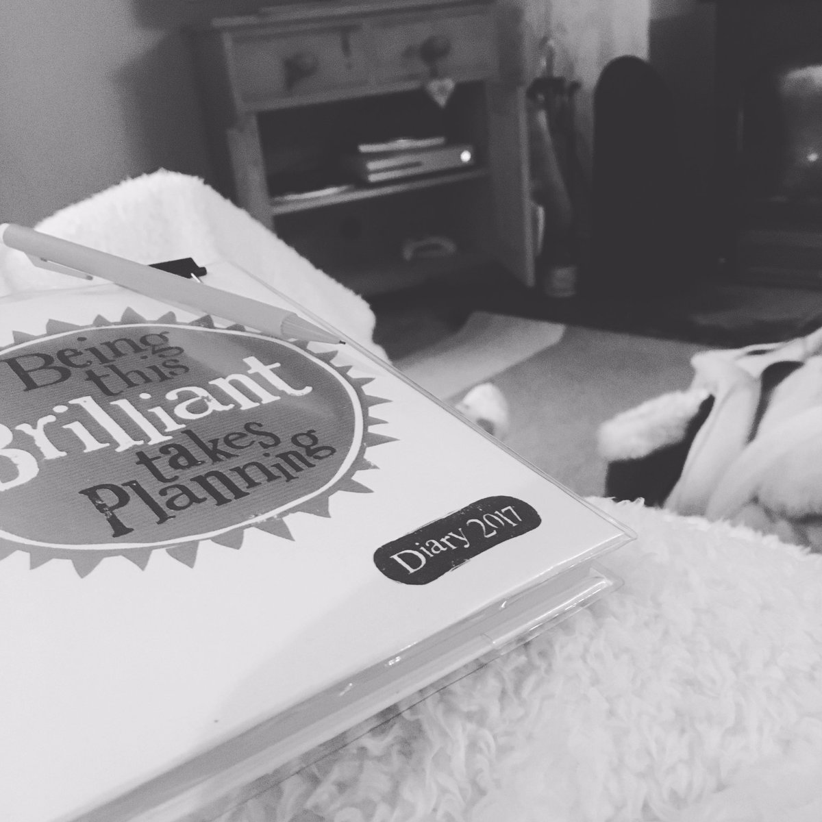 ChloeFieldMUA's tweet image. New year-new brides. 👰🏼