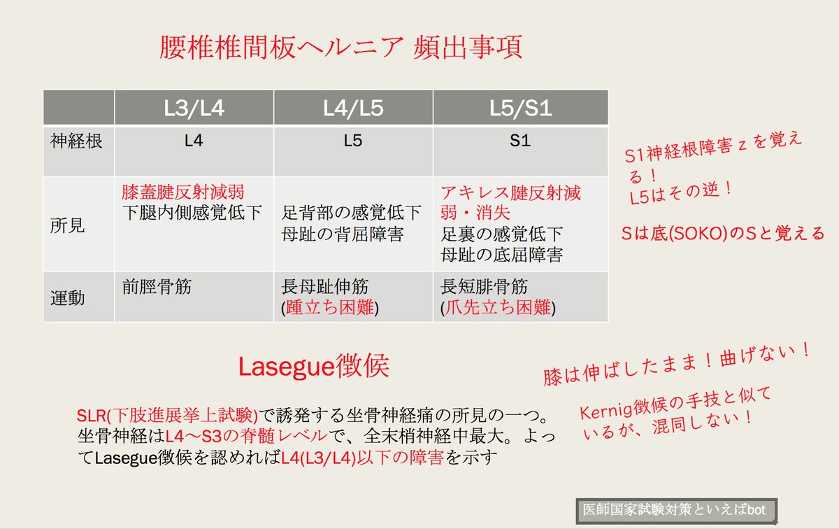 医師国家試験対策といえばbot L5神経根の症状といえば アキレス腱反射減弱 消失 足裏の感覚低下 母趾の底屈障害 T Co 5jrnise1rl