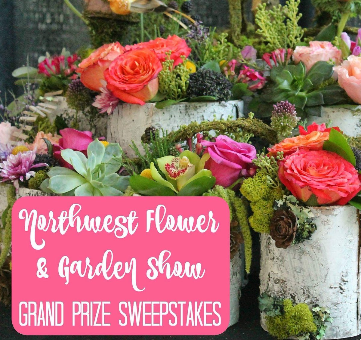 northwest flower & garden festival on twitter: "win $500 cash and 4