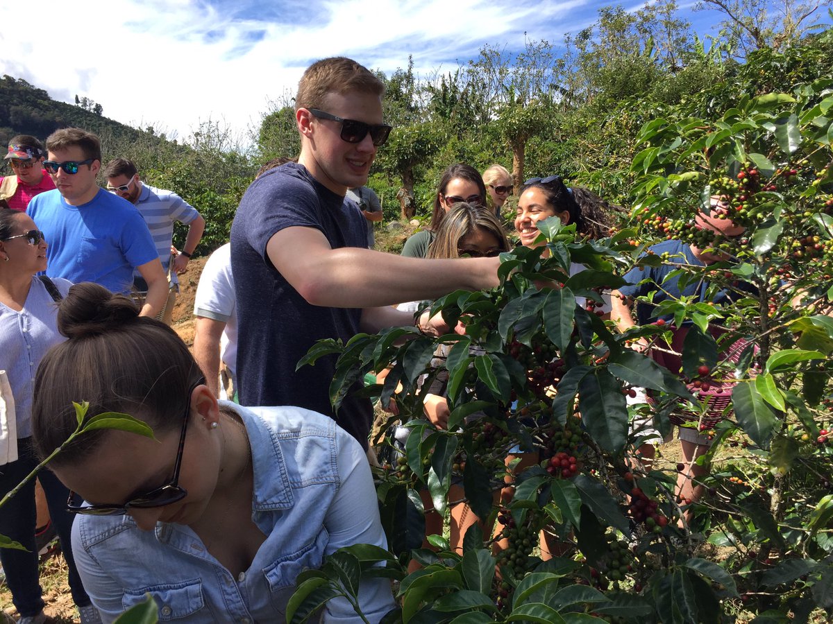 JayhawkAlee's tweet photo. Great start to the @KUMAccProgram #studyabroad trip to Costa Rica! Picked coffee beans on our 1st company tour. https://t.co/3zF6cr0VOV