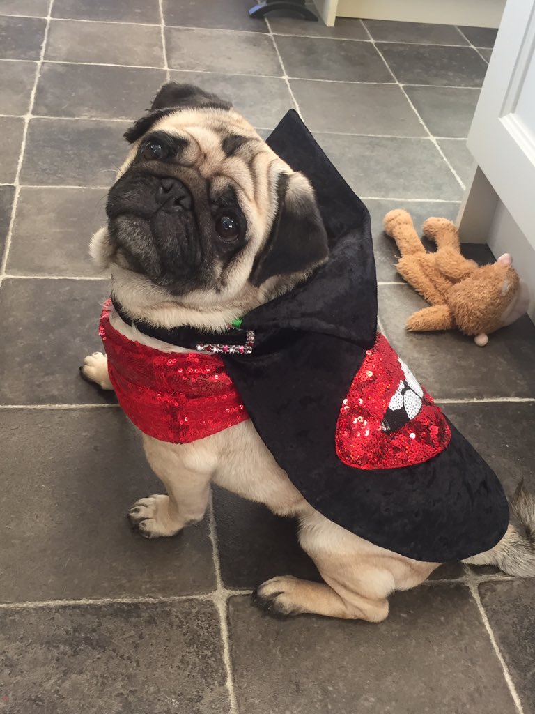 @BecJTyrer <a href="/Richardmeek/">Richard Meek</a>