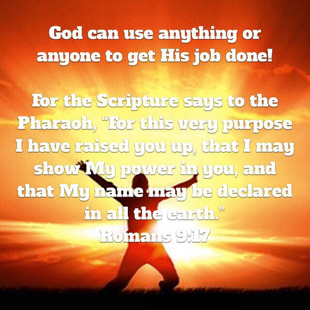 mikermurray's tweet photo. #Hispurpose #raised #up #show #power #name #declared #inearth #anything #anyone #work #accomplish #complete #fulfill #Hiswillbedone https://t.co/Qwbzi5ZCoT