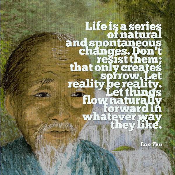 Everyday Mindfulness tweet media