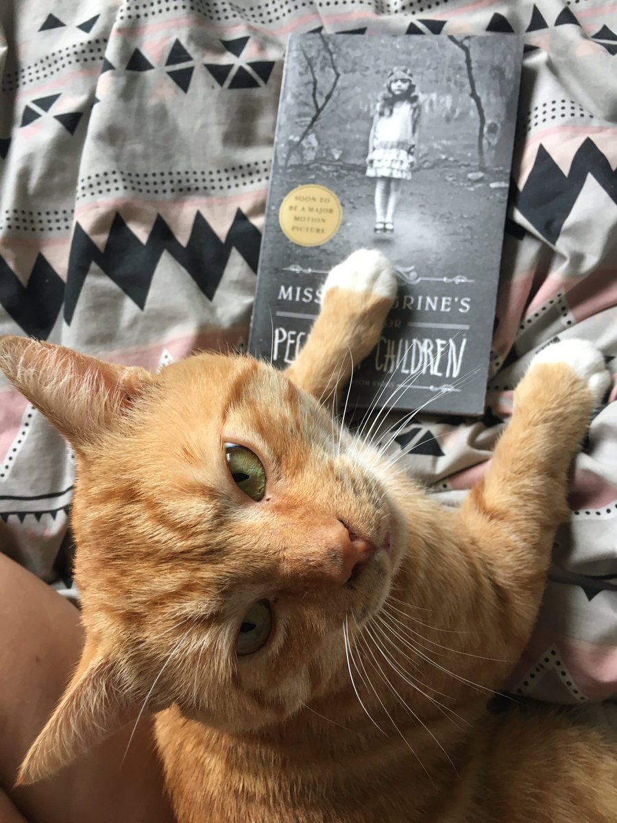 HandsTiedChloeX's tweet image. When you your cat to model with your book📖🐱💕

@ransomriggs @Ella_Purnell