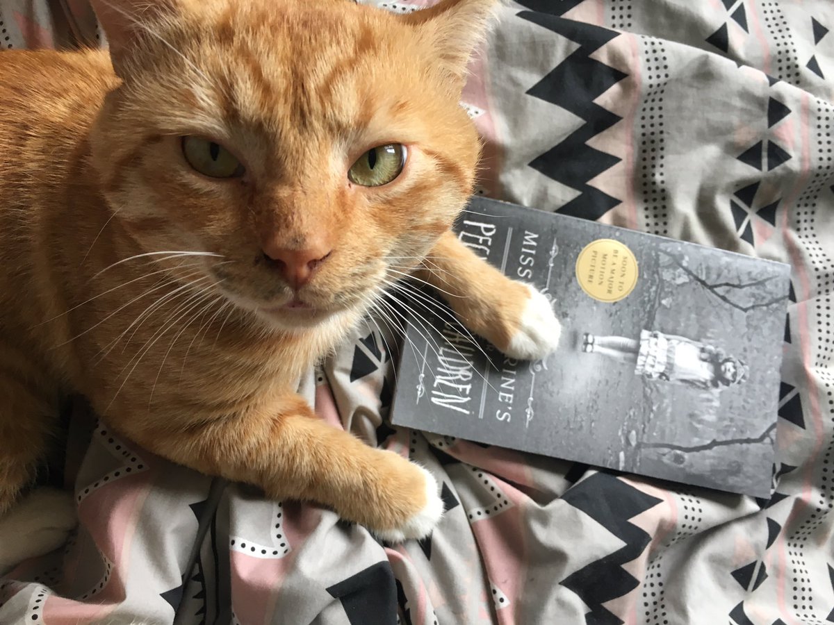 HandsTiedChloeX's tweet image. When you your cat to model with your book📖🐱💕

@ransomriggs @Ella_Purnell