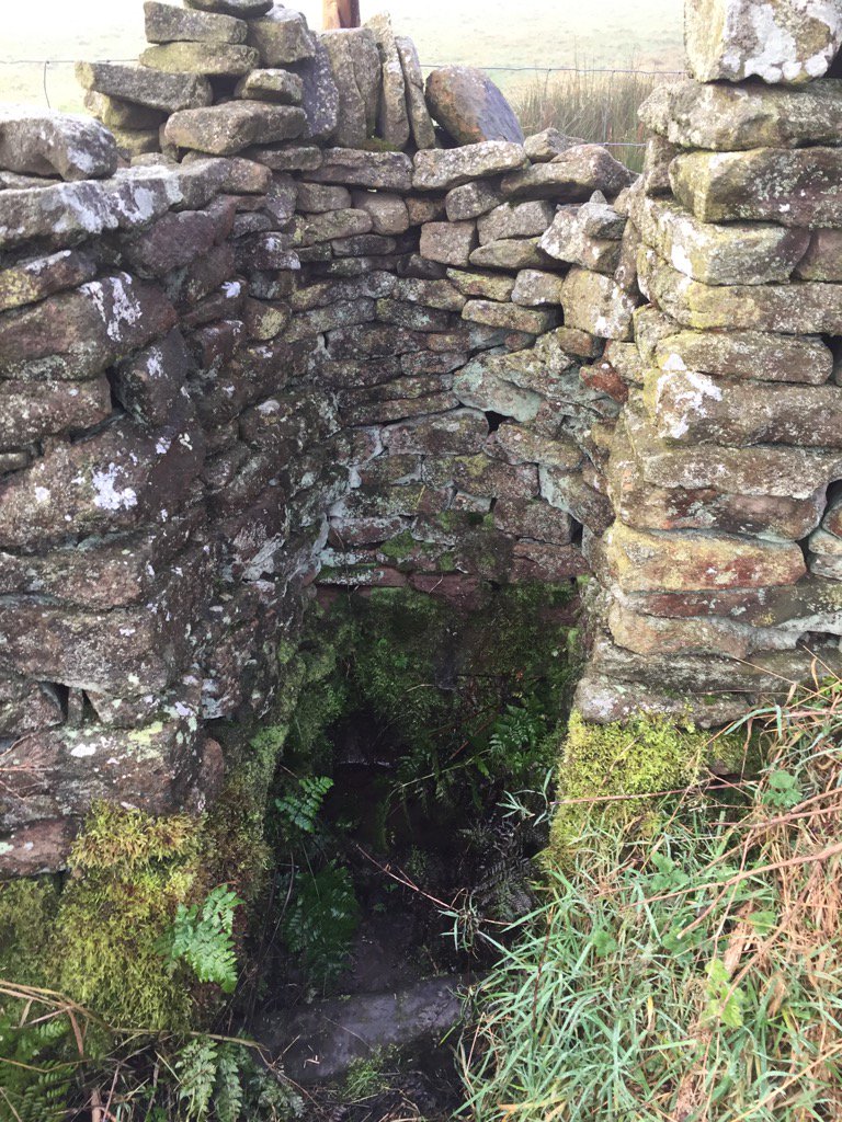 ubfarm2000's tweet photo. #troughoftheday #tiny #circular #drystone #heritage #skills we mustn't loose it https://t.co/XmDU3FMuax
