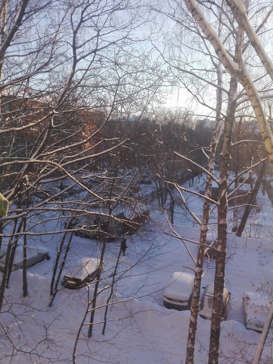 SaturdayMe's tweet photo. -28°C #Moscow #frost #winter #snow https://t.co/9lVV3Zq3u0