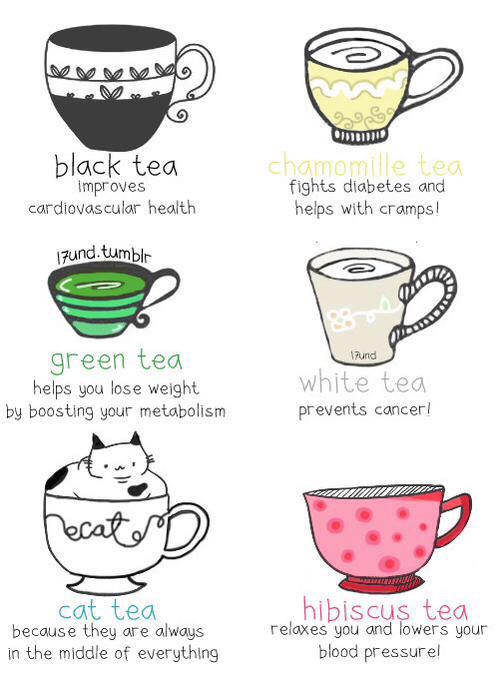 FlTNESS_BUZZ's tweet photo. Reasons to drink tea https://t.co/GXSskKRmfN
