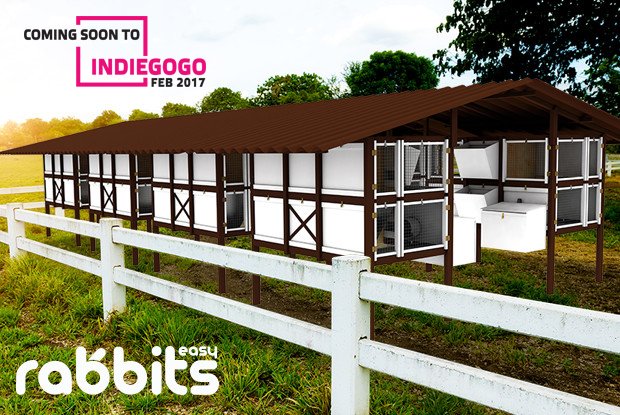 EasyRabbits's tweet photo. #easyrabbit #rabbitfarm #rabbithutch #easyfarm https://t.co/QiVwaUBtN3