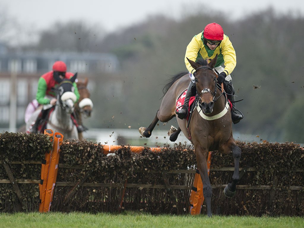 Racing Post (RacingPost) Twitter