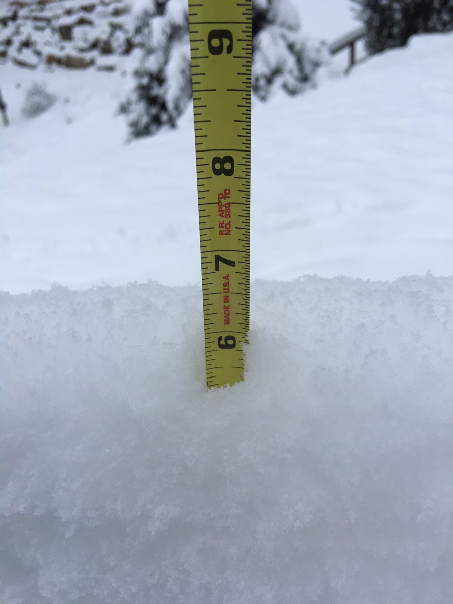 Looks like about 5.5 inches in Kenilworth #AVL @WLOS as of 8:00am Saturday