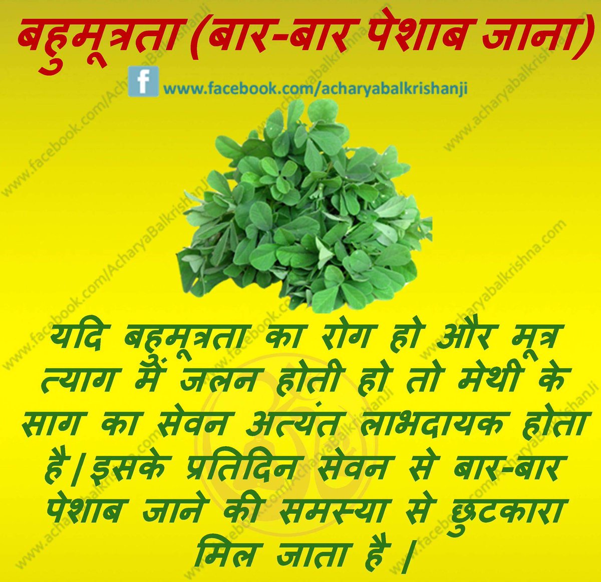 #बहुमूत्रता (बार-बार #पेशाब जाना) #healthtips #acharyabalkrishna #ayurveda #patanjali  #healthyactivelifestyle #frequenturination #methi