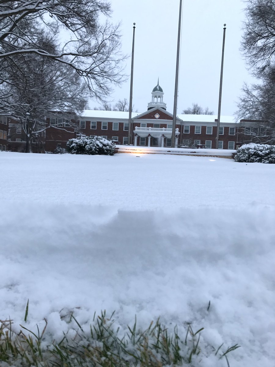 lo_wesley's tweet photo. 8" in Burlington. #wralsnow https://t.co/XSGW9spjvc