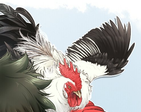尾長鶏のtwitterイラスト検索結果