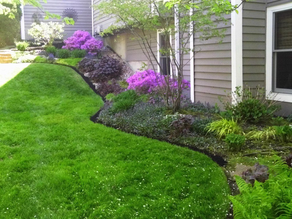 Assorted Flowers and Plants – Spring 2016 Season, Job 4 mybigc.com/2017/01/07/ass…