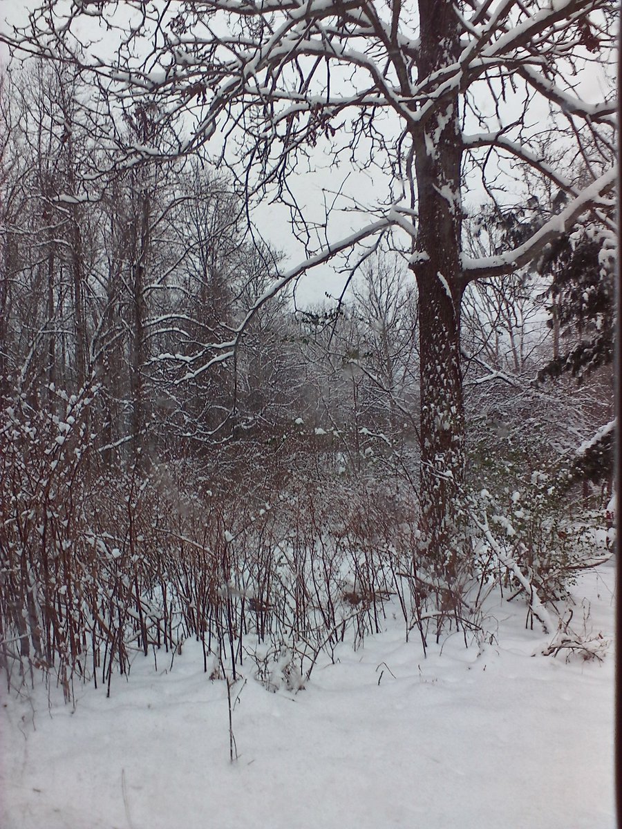 InfinitDesign3r's tweet image. #ashevillesnow (really swannanoa) #snow yay!