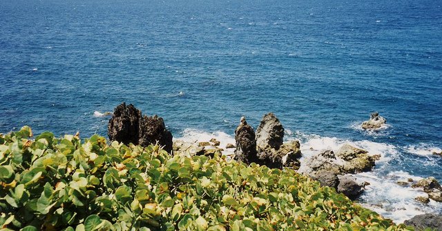 SophieOfNorway's tweet photo. World at a Glance: Black Rocks and petroglyphs in St Kitts https://t.co/8ytFvuaKpW #minicountries #explore #ttot https://t.co/Ev3nN85oei