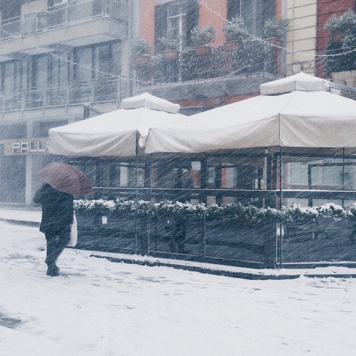 Infoturismiamo's tweet photo. • #Bari. Un normale sabato di neve •
Scusateci, siamo baresi. E noi a certe cose non ci abitueremo proprio mai ❄💙 #WeAreinPuglia https://t.co/79txuiW4GM