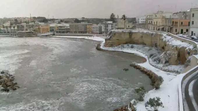 Ver imagem no Twitter