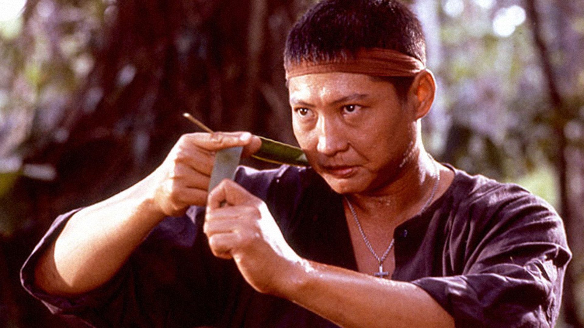Happy Birthday to Sammo Hung! 