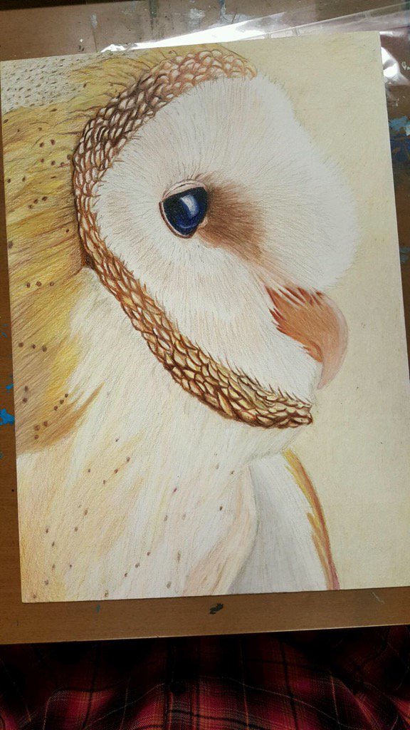Brooke's pastel Owl picture.