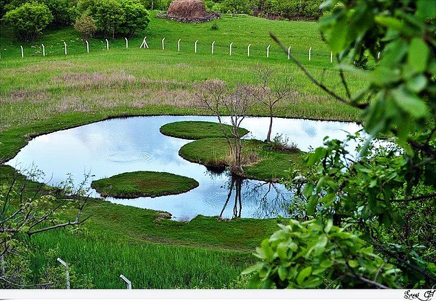 12) Bingöl Yüzen Ada