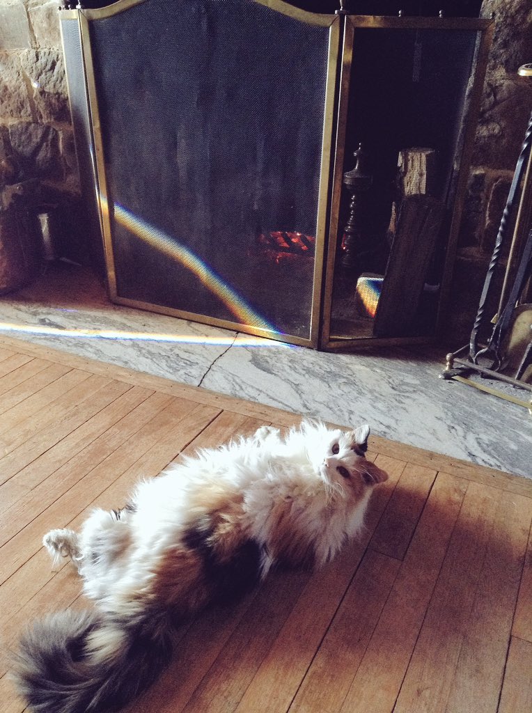 tntux's tweet photo. Good, cheap, snow day entertainment. https://t.co/5n9TMUzKYt
